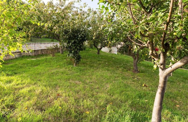 Elegant Apartment in Campobasso near Woods - Foto 28