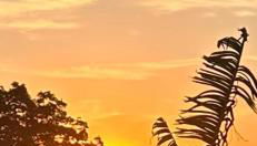 Carcará Vacation Homes - Foto 5