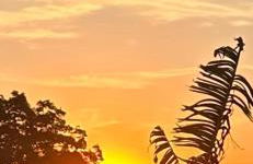 Carcará Vacation Homes - Foto 5