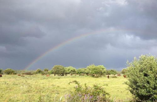 Mare e Montagna - Foto 26