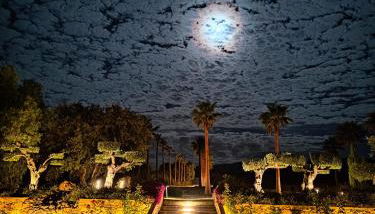 La Marabulla - Photo 5, Garden view