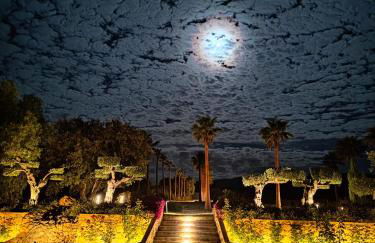 La Marabulla - Photo 5