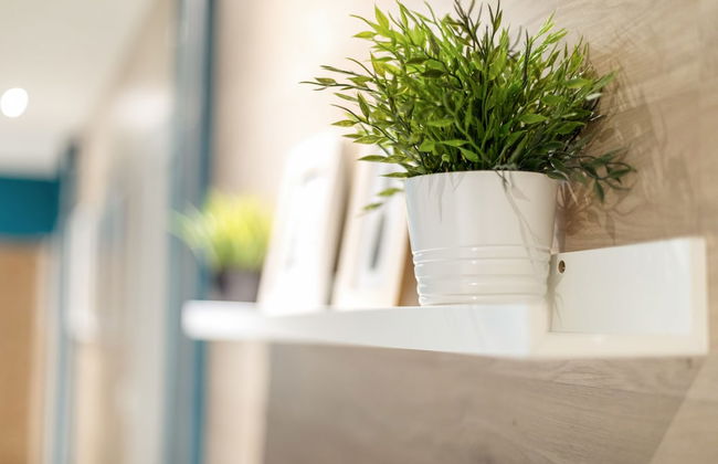 Nice Home - Studios Lido - Photo 6