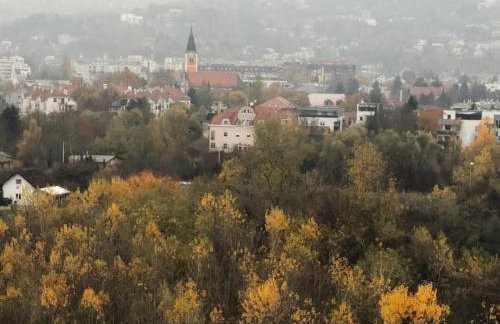 Špansko view -Comfy apartment - Foto 42