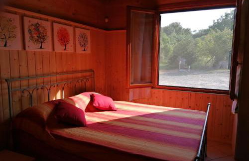 Agriturismo bio Apipoli - Foto 38