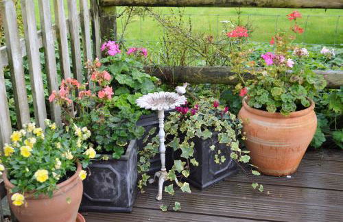 Bumble Bee Cottage - Foto 20