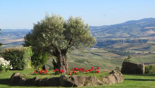 Appartamento Melograno in casale con piscina - Val d'Orcia - Foto 5