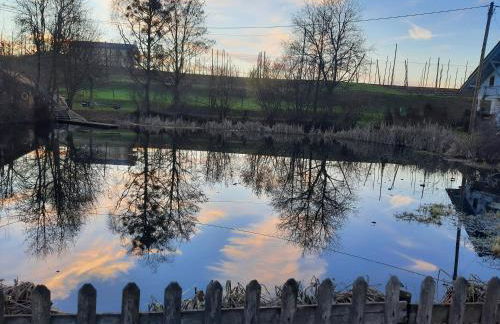 Am Dorfweiher - Foto 16