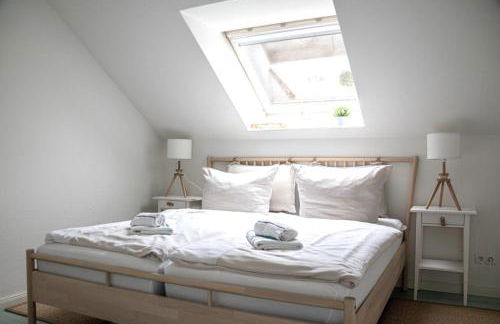 Dünengras - Foto 14