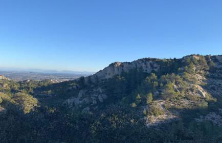 Mazet Le Micocoulier - Foto 30