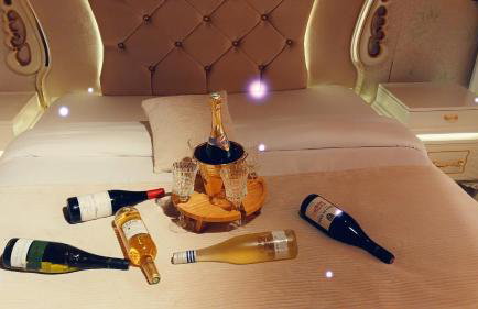 Maison 8 pièces Spa jacuzzi Paris Airport CDG jardin arboré clos - Foto 17