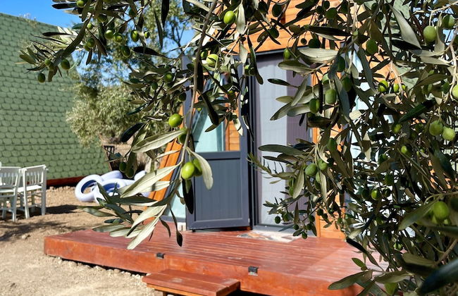 Bıngıdı Bungalov - Foto 77