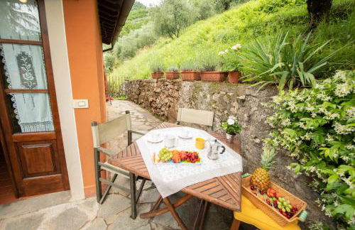 Casetta di Butia, Ginestra apartment with swimming pool - Foto 19