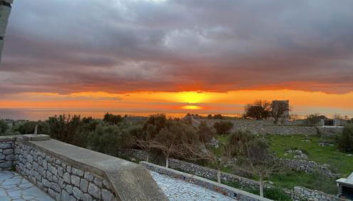 Yulie's Orama - Foto 2