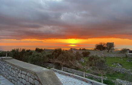 Yulie's Orama - Foto 2