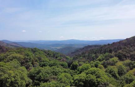 Hameau de la Suyère - Foto 26