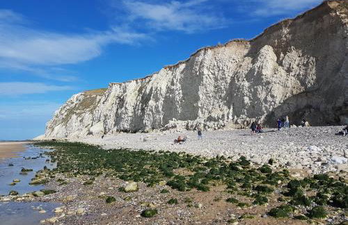 Sérendipity - Foto 30