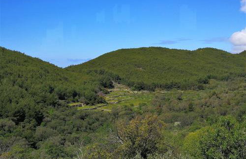 Countryside Vacation House VITEZ - Foto 15