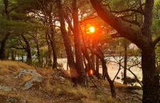 Seaview Apartment with Free Garage Parking 2 min to Beach Zaton near Dubrovnik - Photo 41