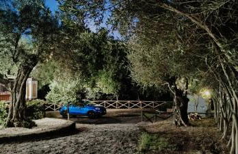 EtnAround You - Foto 25