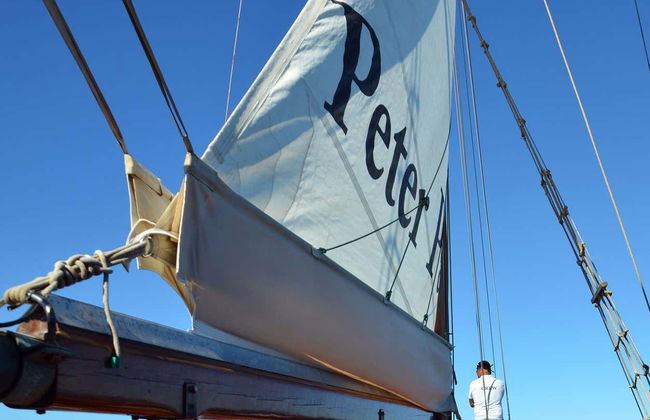 Schooner Whale Watching Cruise - Photo 7