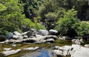 Le Mas Vivarés - Foto 45