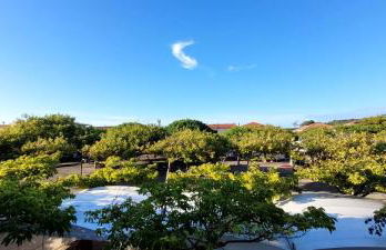 Palm Appart - Foto 7