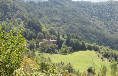 SO MAGIC - La casa nel bosco - Foto 11