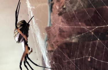 Fishers Of Men Ranch Home - Photo 41