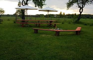 Agroturystyka Podlasie - Foto 11