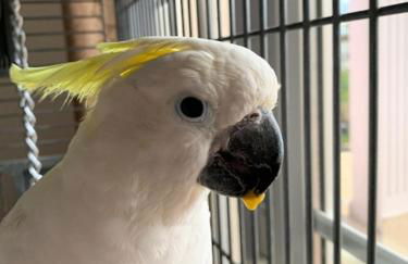 CASABINA Appartement entre Disney et paris - Foto 84