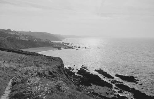 Trewebster - Photo 36