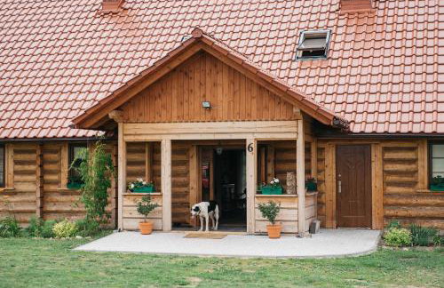 Dom Gościnny Sowia Stópka - Foto 3