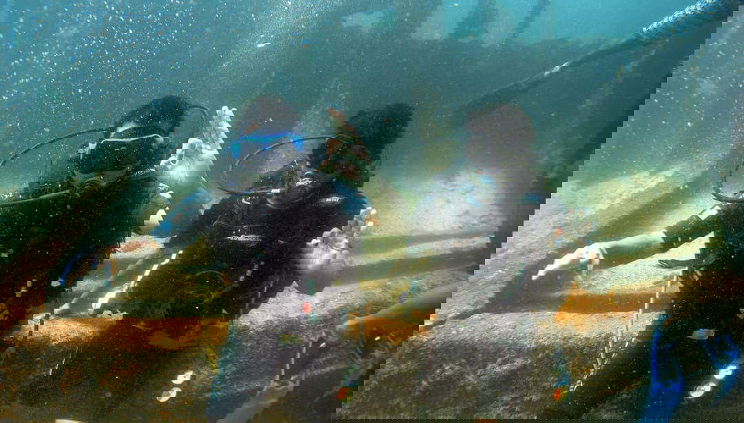 Mergulhando em Hikkaduwa