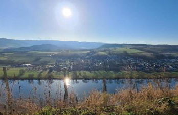 FeWo Sonnenlay - Apartments an der Mosel - Foto 23