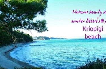 Casagrande Studio - Foto 14