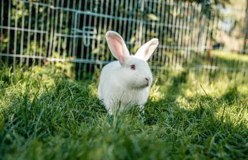 Schoberhof - Foto 15