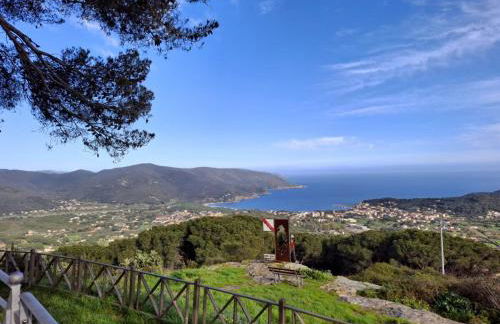 Al Campanile - Foto 7