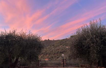 Casa Riviera dei Fiori - Foto 27