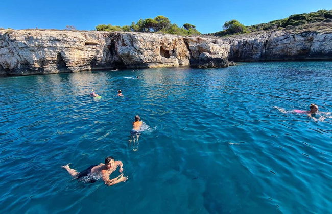 Cape Kamenjak & Ceja Island Cruise - Photo 1