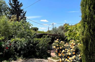 Casa Rural Pernales II - Foto 24