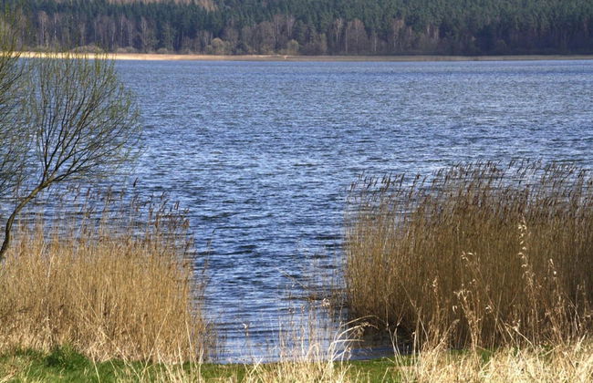 Ferienhaus An de Linn in Nakenstorf - Foto 15