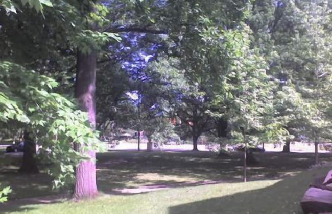 JARVIS Edgewater Park & Beach 5BD Villa - Foto 15