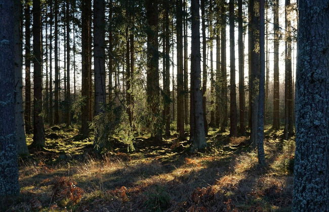 4 Star Holiday Home in Malmkoping - Foto 8