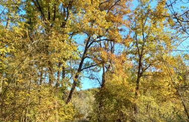 Agriturismo Malvista - Foto 8