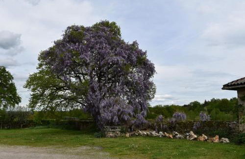 Le Clos Crista Galli - Foto 23