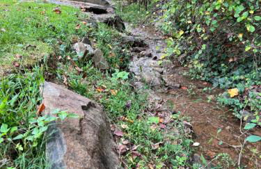 The Wine Cottage Spacious 5BR Near Nelson 151 - Foto 56