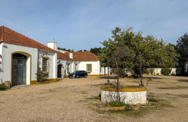 Quinta do Casalinho - Benfica do Ribatejo - Foto 11