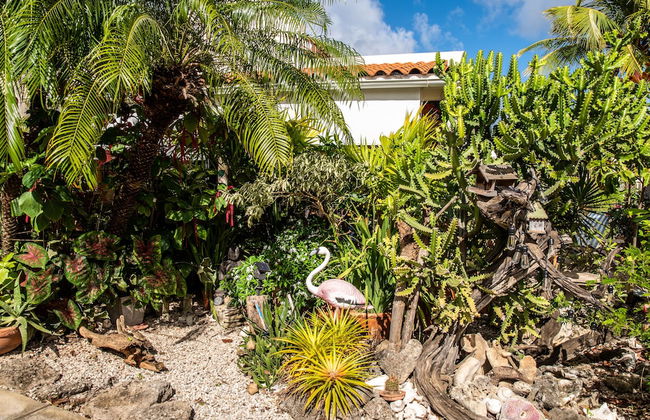 Hamlet Oasis Resort - Photo 38