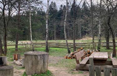 Ropienka Ski - Foto 17